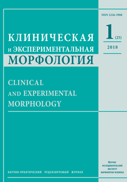 Клиническая и экспериментальная морфология. № 1 (25) / 2018